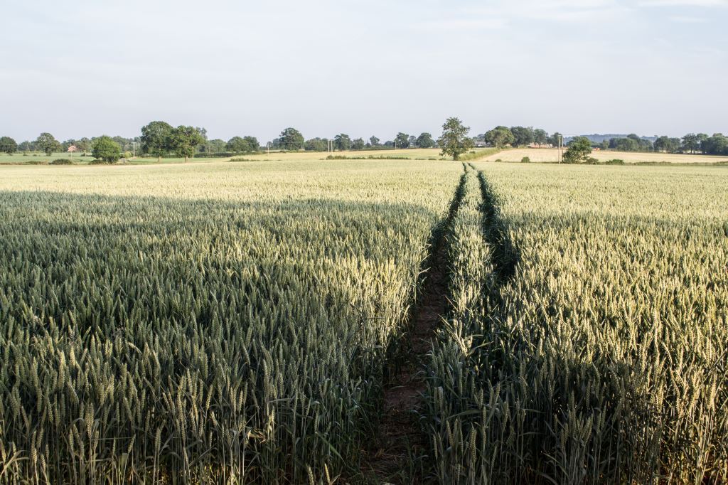 Bobbington Village