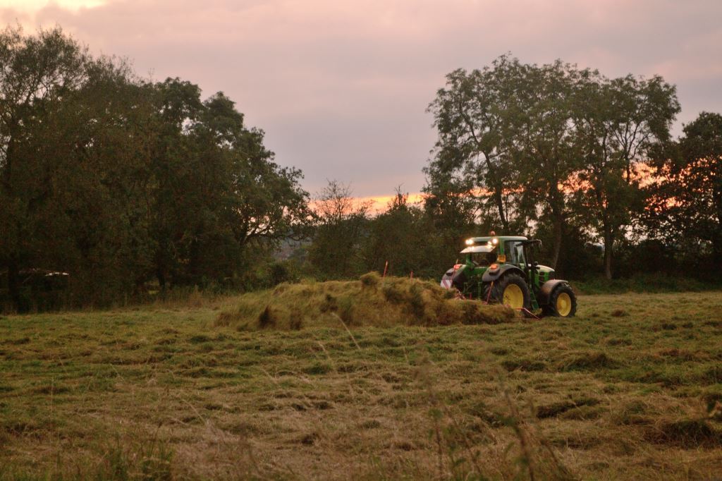 Bobbington Village