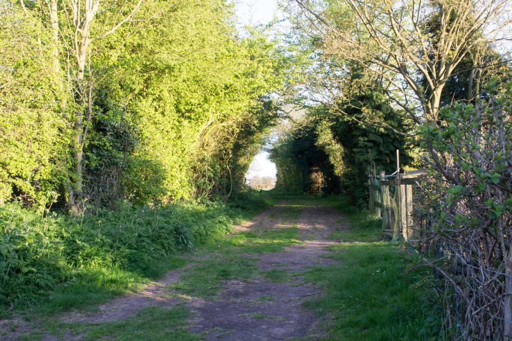 Bobbington Village