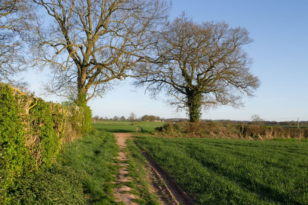 Bobbington Village