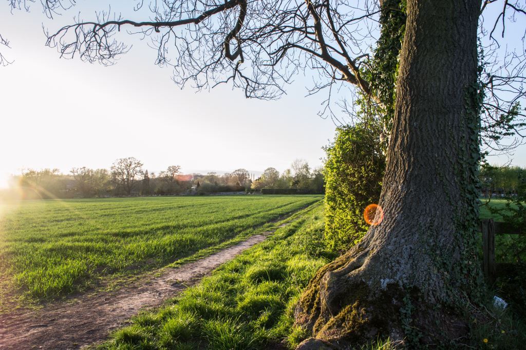 Bobbington Village