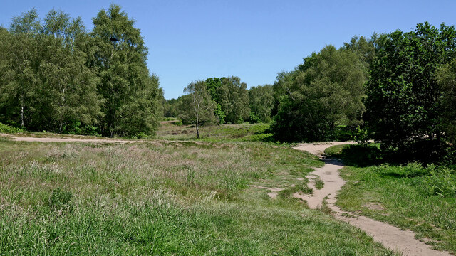 Highgate Common